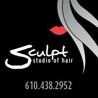 Sculpt Studio of Hair